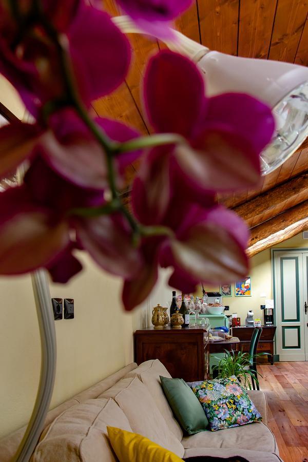 Magliano AlfieriCa D'I.住宿加早餐旅馆 外观 照片